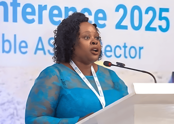 planetGOLD Zimbabwe manager Nyaradzo Mutonhori speaking at a mining stakeholders conference in Harare