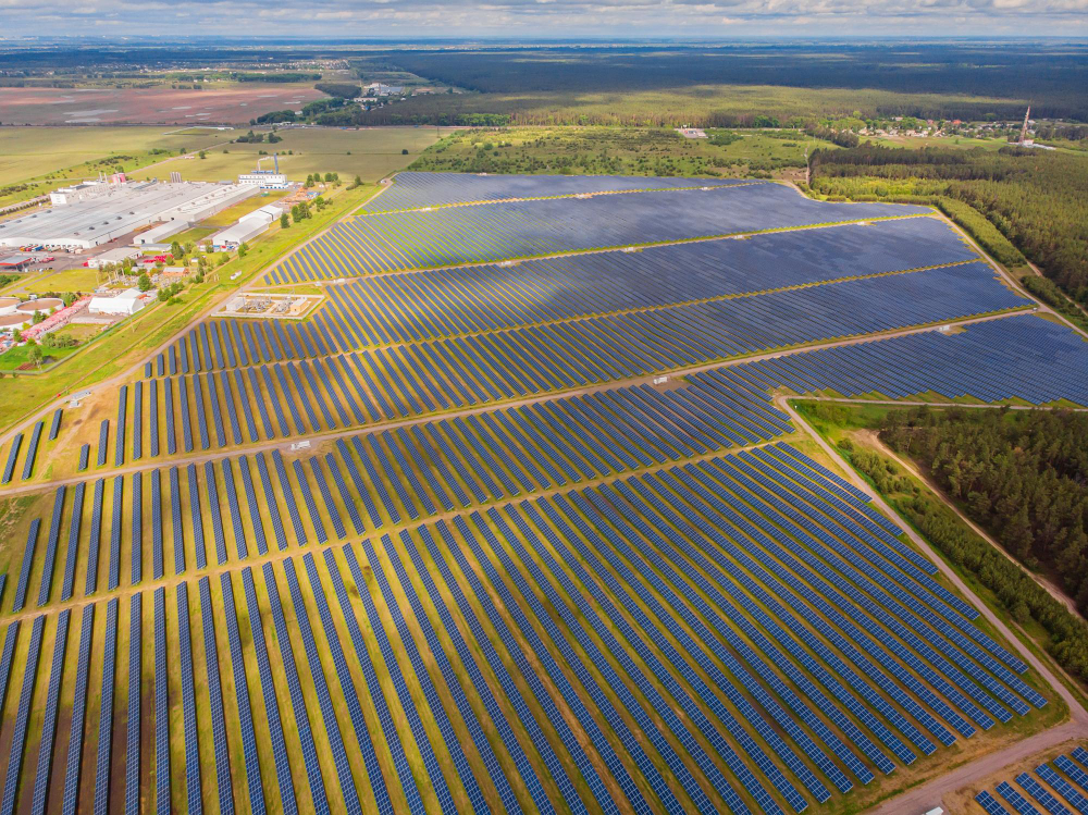 An aerial view of solar panels installed in an open field to generate renewable energy.