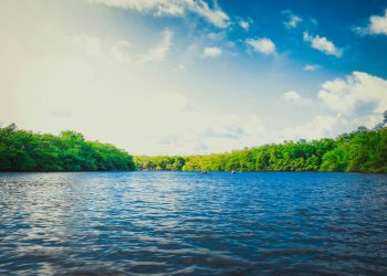 An illustrative image of a body of water.