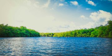 An illustrative image of a body of water.