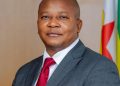 Zimbabwe mineral export ban draws mixed reactions