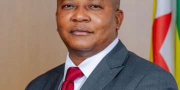 Zimbabwe mineral export ban draws mixed reactions