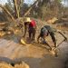 Artisanal gold miners process ore at a small-scale mining site in Zimbabwe