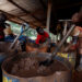 A young artisanal miner washes crushed rock containing gold in metal drums at the unlicensed mining site of Nsuaem Top in Ghana