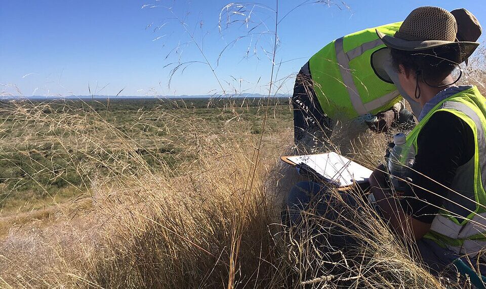 Researchers working on rehabilitated waste-rock dumps at a mine in Namibia.