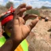 A woman miner holds a small mineral sample while other miners work at an artisanal mining site