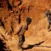 Artisanal miners carrying sacks of ore at a small-scale gold mining site in Zimbabwe