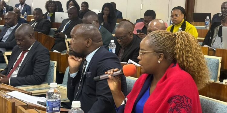 Delegates take part in the Ministry of Mines and Mining Development's 2026 Mid-Term Performance Review and Second Half Reset Workshop in Kadoma, Zimbabwe.