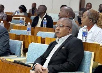 Mines Minister Polite Kambamura attends a ministry workshop in Kadoma.