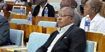 Mines Minister Polite Kambamura attends a ministry workshop in Kadoma.