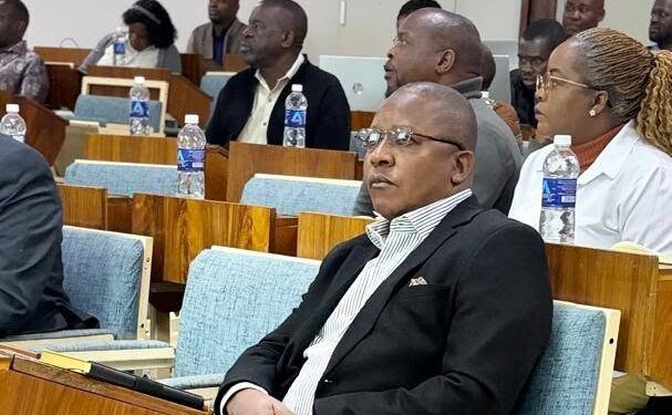 Mines Minister Polite Kambamura attends a ministry workshop in Kadoma.