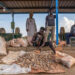Workers process gold-bearing ore at a small-scale mining operation near Atbara, Sudan, in a file photograph.