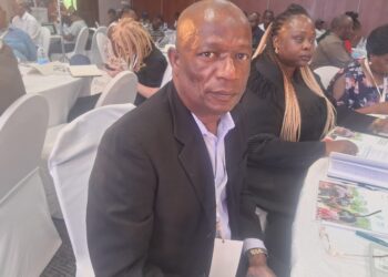 Govt calls for coordinated action to eliminate mercury in artisanal mining