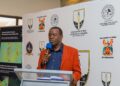 116 accidents, 156 lives lost: Govt declares zero tolerance on mine safety breaches – Chief Eng Munodawafa