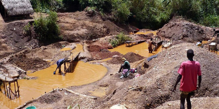 planetGOLD Zimbabwe Convenes Annual Stakeholders Conference As Mercury Fight Intensifies