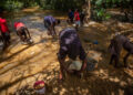 Women and children pan for gold in a river in Banket, Zimbabwe.