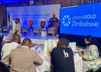 Participants attend a planetGOLD Zimbabwe stakeholders conference in Harare.